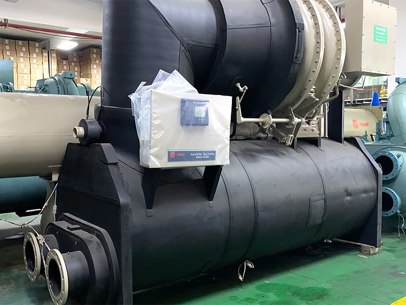 10008IMG0599 10008IMG0599