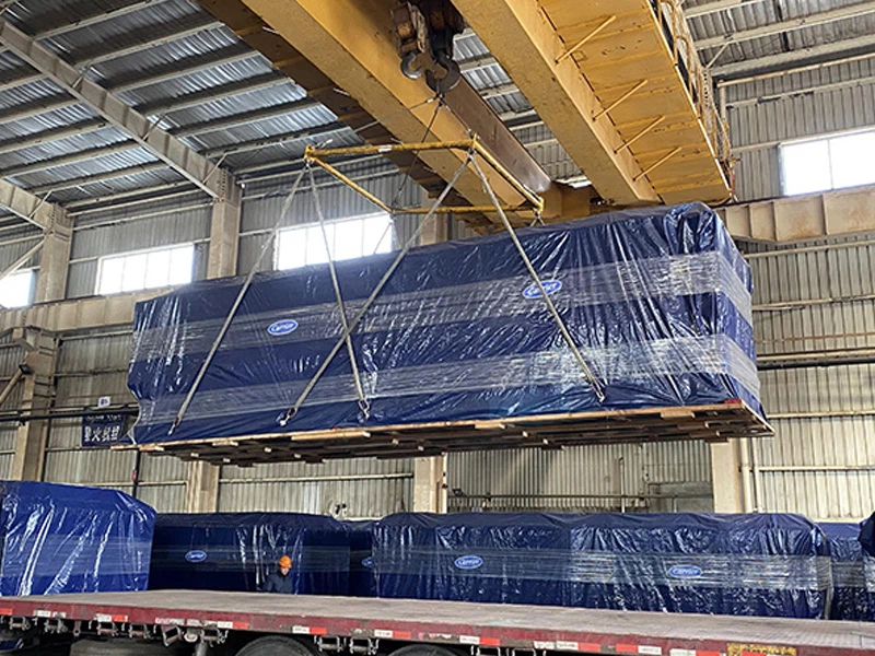 10006IMG5506 10006IMG5506